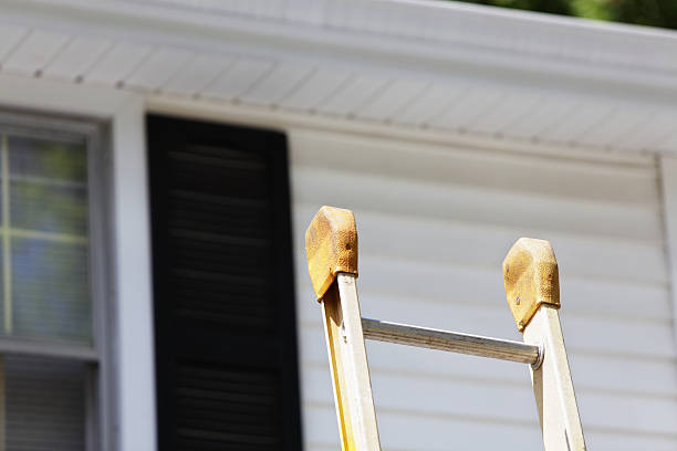 Best Fascia and Soffit Installation  in Urania, LA